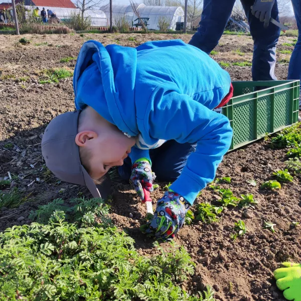 Kinder in der SoLaWi