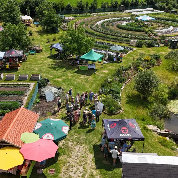 Pavillons und Sonnenschirme