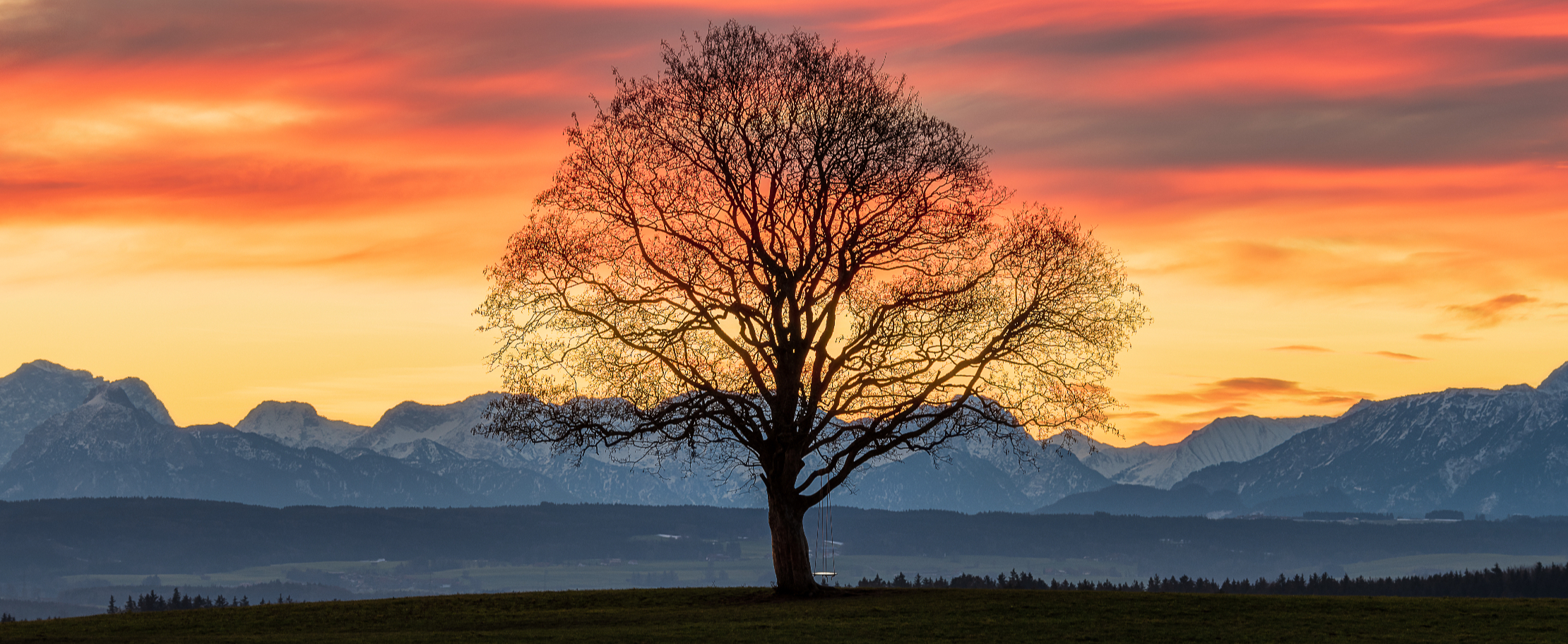 image.1.621cca1757e2b