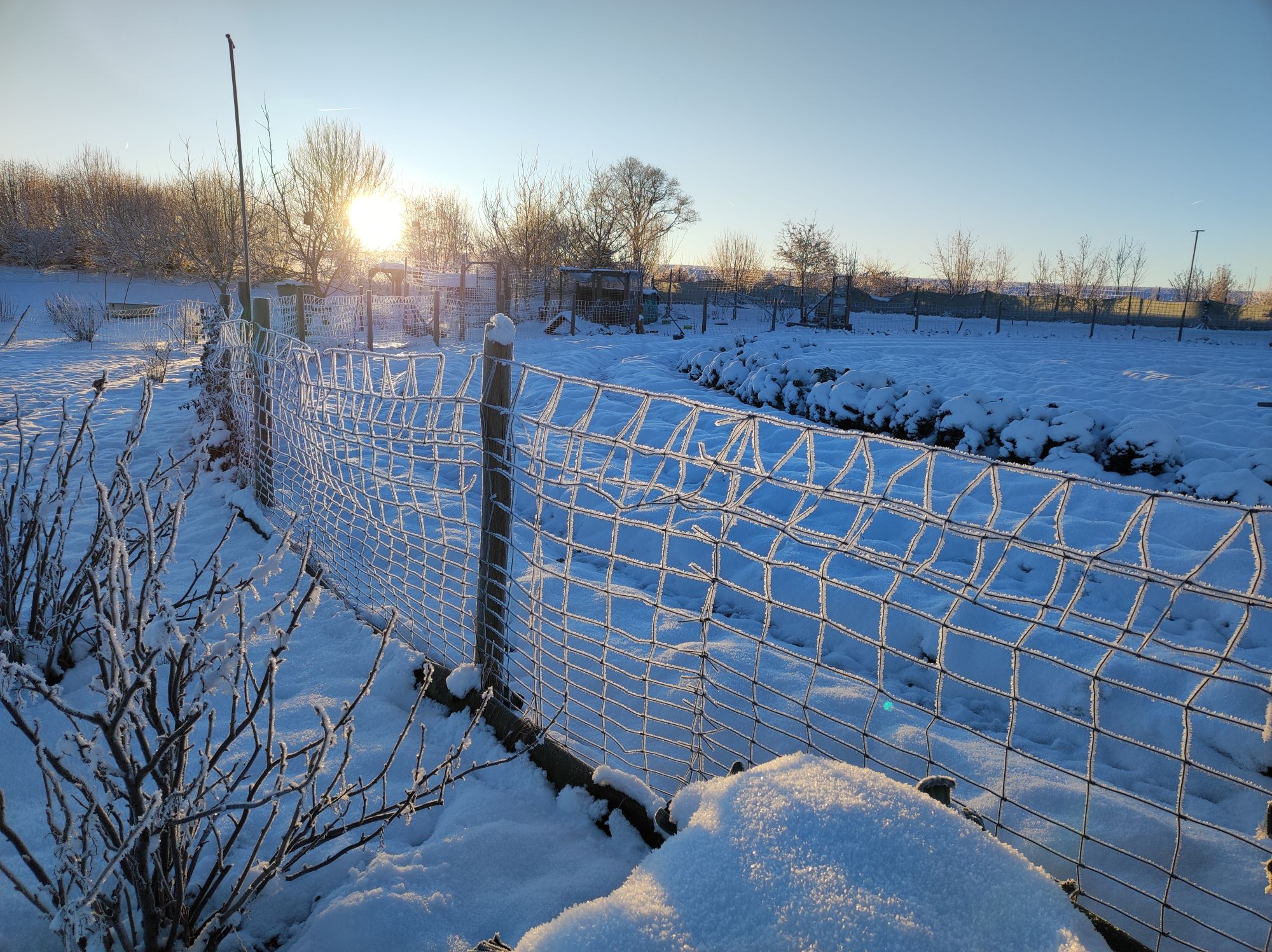 Ackerpost Dezember 2025 - Januar 2026