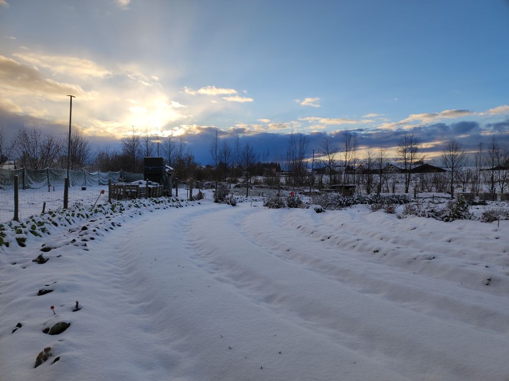 Ackerpost Oktober - November