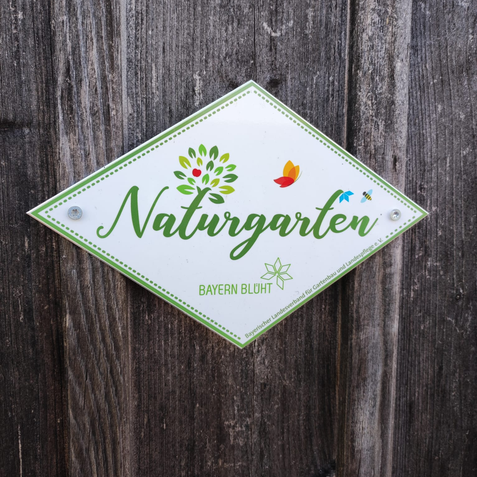 Allgemeine Gartenführung in der SoLaWi Bad Grönenbach e.V.